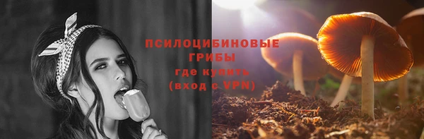 трава Зерноград
