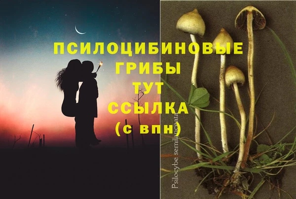 ешки Зеленодольск