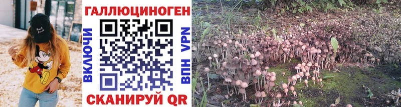 Псилоцибиновые грибы Cubensis  Купить закладки  Сольцы 